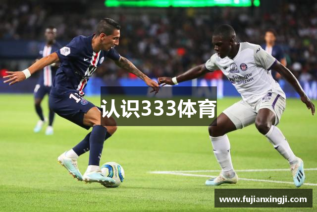 认识333体育
